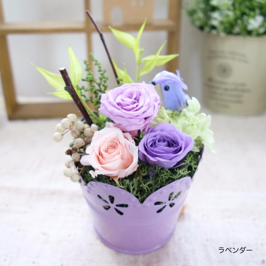 楽天市場 プリザーブドフラワー 誕生日 プレゼント 小鳥 結婚祝い お見舞い 退職 お返し ギフト 花 バラ お礼 出産祝い 内祝い お祝い 送料無料 小鳥のカラフルマフィン フラワーギフト Strawberrygarden
