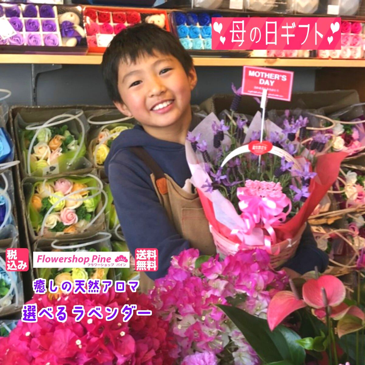 楽天市場 母の日 プレゼント 鉢植え ラベンダー 選べる2種 遅れてごめんね 母の日ギフト 宅配 花 ギフト セット 日付指定 日付指定可 鉢植 おしゃれ かわいい 送料無料 5号 指定日 生花 鉢 長持ち メッセージ フラワーショップ パイン 花鉢 贈る 誕生日 ギフトお祝い