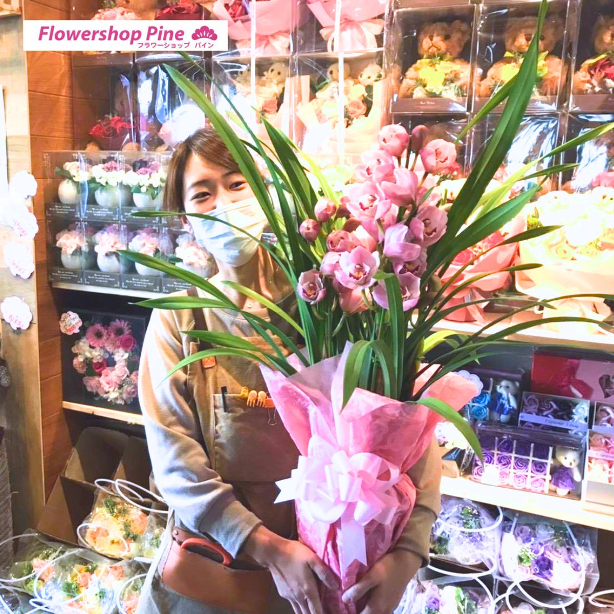 楽天市場 シンビジウム 5本 冬の蘭 花 ギフト シンビジューム フラワーギフト 誕生日 送料無料 鉢 鉢植え 冬 の プレゼント 女性 50代 40代 宅配 グリーン 5本立 誕生日プレゼント 女友達 屋外 室内 長持ち 玄関 米寿 お祝い 祖母 祖父 おじいちゃん 黄色