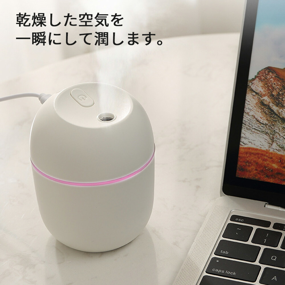 加湿器 卓上 小型 おしゃれ 220ｍl ポーダブル usb給電式 usb ミニ加湿器 コンパクト オフィス かわいい 卓上加湿器