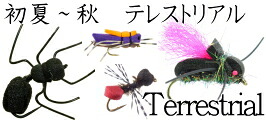 楽天市場】TSR ダブルハンドロッド Rougeシリーズ : フライ