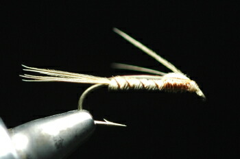 フェザントテイル　ニンフ　カッパー＆レッグ　ブリーチ画像