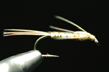 フェザントテイル　ニンフ　オールフェザント＆レッグ　ブリーチ画像