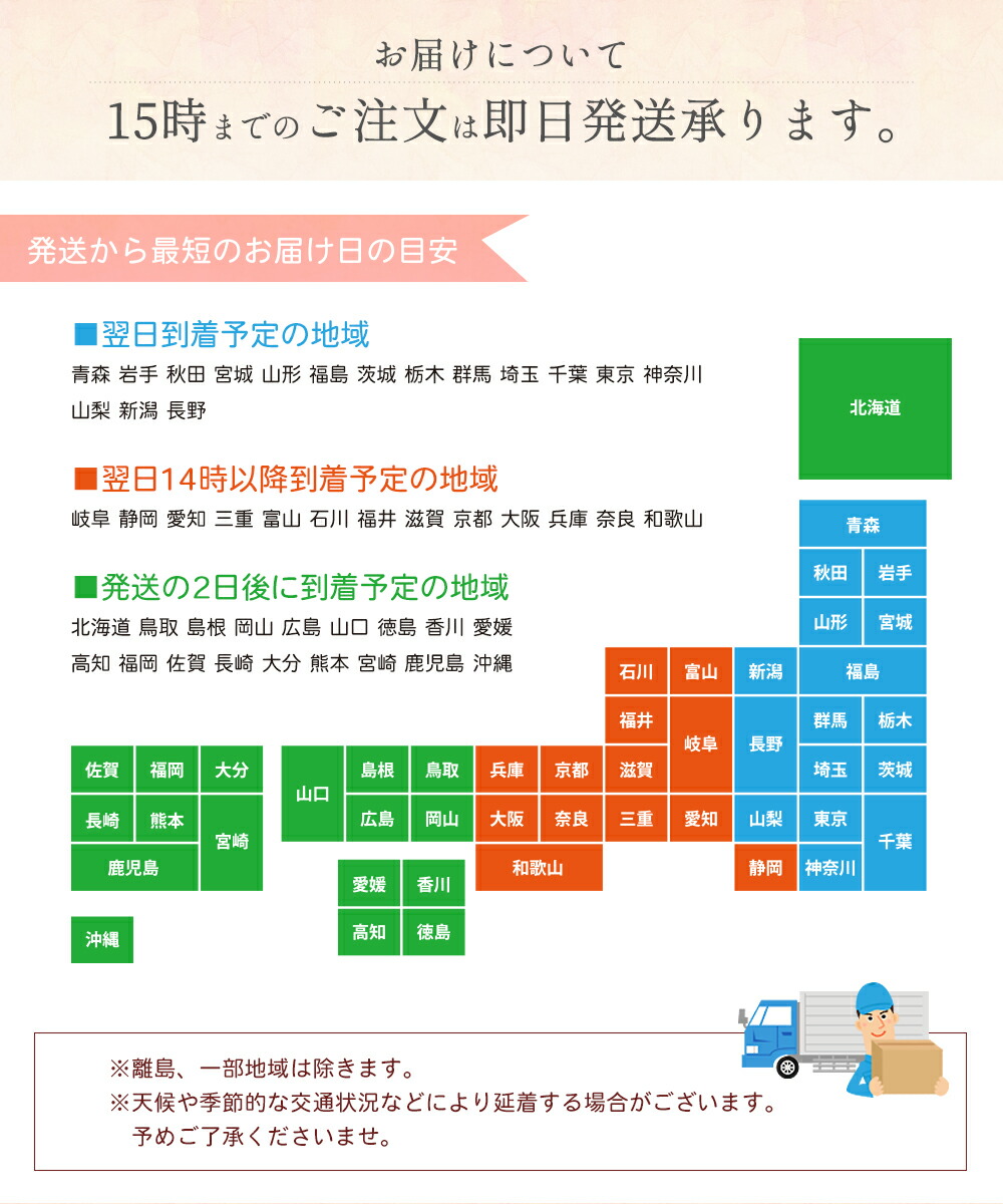 お恵与按配メント L号 御供え最盛期 お供え 花 お悔やみ アレンジメント 小ゆり送料無料 アレンジ花 死亡者花 仏事 命日 ご法事 敷妙花 仏花即日差し立てるできます 活花 仏花 仏事 法事 命日 もの周忌 法要 即日発送らっぱ 月読み命日 Fecdas Cat