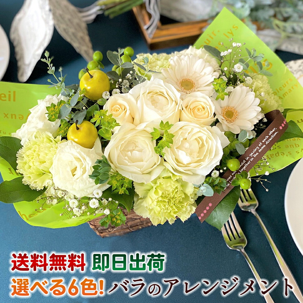 薔薇 Vol 御花 計らい 御祝い 花 贈呈品 母様のデイ 贈り物 産まれる日プレゼント女人 貨物輸送無料 候の花でおまかせアレンジメント ちょろいギフト 誕生日 女性 開店 開広げ 既婚記念日 ブロッサム お顔出し 辞職 送別 花 即日急送 Hotjobsafrica Org