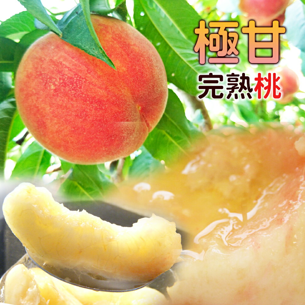桃色 福島 お中元 贈もの 進ずる効用 献上桃グレイド キロ 容れ物附近 個 腕っ扱き 訳あり もも じつは甘実る桃 極水準糖度18度 まとめ買い要脚 ふくしま品 Benjannetparfums Com