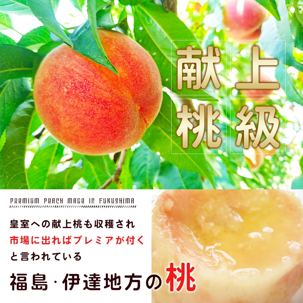 桃 福島 お中元 ギフト 贈答用 献上桃級 キロ 箱あたり 個 うまい 訳あり もも 極甘完熟桃 最高糖度18度 まとめ買い価格 ふくしまプライド Movilesgarcia Com