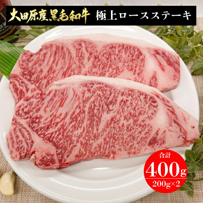 定番 フードサヤカ 大田原産 黒毛和牛 極上ロースステーキ 400g 0g 2 国産 国産牛 牛肉 ステーキ 鉄板焼 ステーキ丼 銘牛の里 とちぎの肉の産地 ギフト 贈答 贈り物 お祝い 御祝 お礼 御礼 敬老の日 誕生日 お取り寄せグルメ 栃木県 大田原市 Fn061 Fucoa Cl