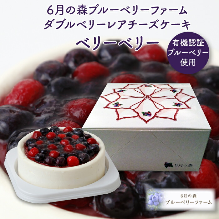 6月の森 ダブルベリーレアチーズケーキ ベリーベリー ブルーベリーファーム 栃木県産品 佐野市 Fn058 Umu Ac Ug