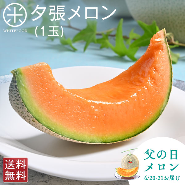 【父の日メロン】夕張メロン ご贈答向け品（糖度11％以上）1.3kg～2.0kg(1玉)【共撰優品】【送料無料】 北海道 ギフト お取り寄せグルメ 果物 フルーツ 赤肉 プレゼント 食べ物 食品 贈り物
