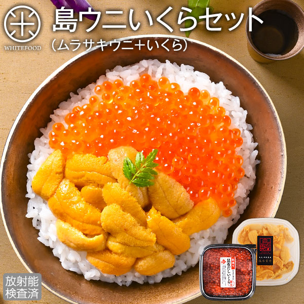 うに いくら 北海道 礼文・利尻島産 生キタムラサキウニ＋北海道 斜里産 昆布だしイクラ セット【送料無料】【放射能検査済】<br><br>雲丹 塩水パック 塩水ウニ ギフト 贈り物 お取り寄せ ミョウバン不使用 生うに うに ウニ