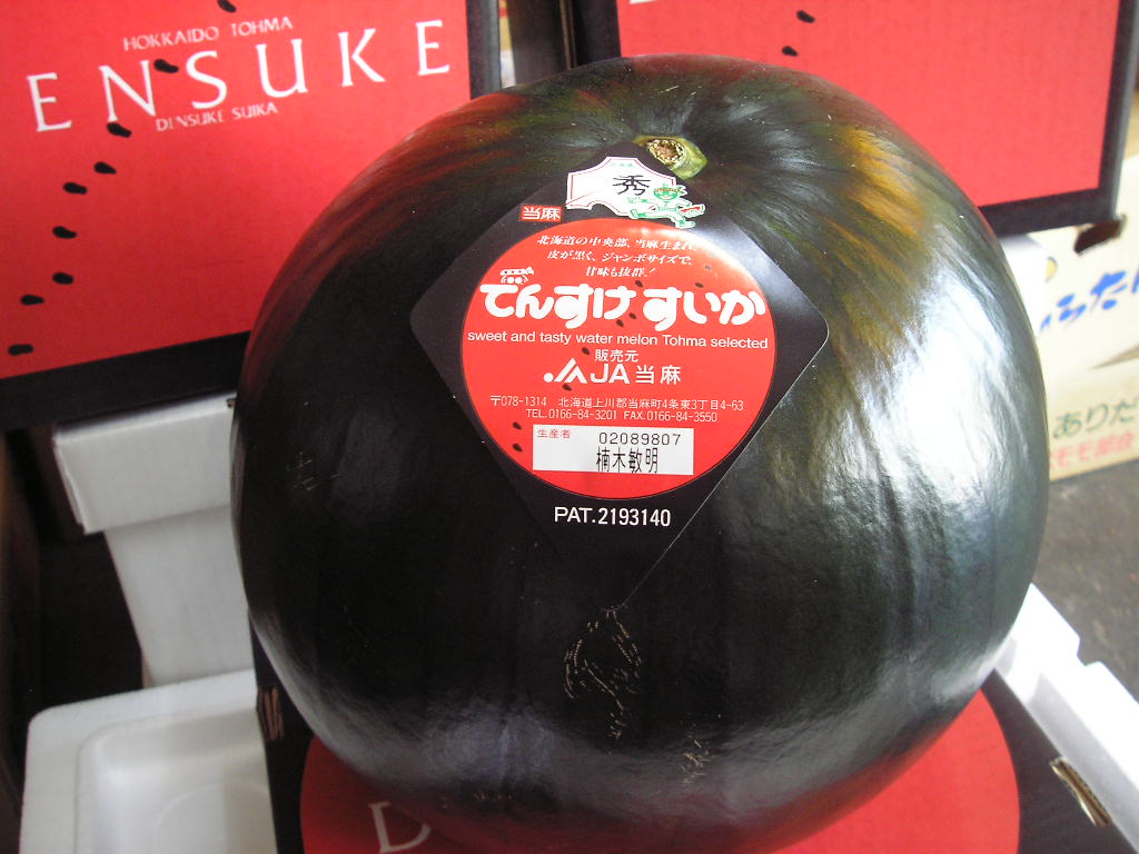 【送料無料】当麻産でんすけすいか（秀品、Ｌサイズ）<BR>※7月上旬～8月中旬発送予定※着日指定不可