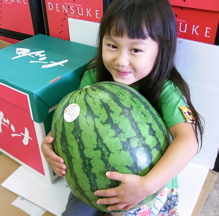 【送料無料】北海道産マドンナすいか<br>（４Ｌサイズ、約９～１０ｋｇ）<br>※店長イチオシすいか！！！<br>※着日指定不可