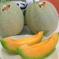 【父の日ギフト】<br>【夕張農協供撰品】夕張メロン<br>（約１．３ｋｇ/玉 ２個入）<br>※6/13～15お届け着日指定不可