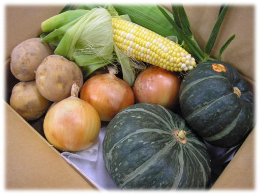 【６回分送料無料】<br>北海道産旬野菜マンスリ-定期便<BR>（5月～10月の毎月1回）<BR>中四国九州追加送料2000円<br>
