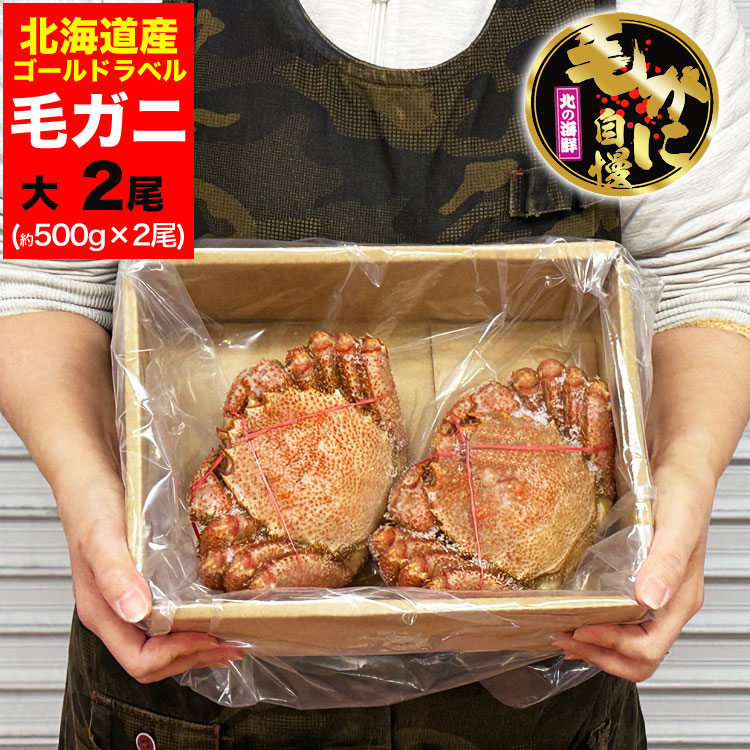 【大】毛ガニ 500g 前後×2尾セット 北海道産 姿 味噌 けがに 毛がに カニ 蟹 かに 脚 折脚たし脚入る場合があります