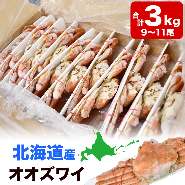 【在庫限り／お一人様2コまで】北海道産 オオ ズワイガニ 姿 9～11尾入り合計3kg前後 (1尾あたり約270～330g) オオズワイガニ カニ 蟹 かに パーティー【のし不可】[ 母の日 父の日 お中元 お歳暮 ]