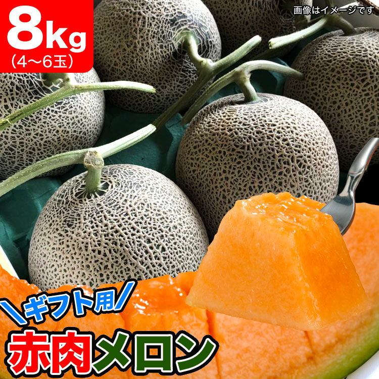 【2025年収穫予約】【ギフト用】メロン　赤肉  北海道産 約8kg（4～6玉入）[優品以上の高ランク]［めろん］【お届け日指定不可無効】【2025年7月下旬前後頃よりご注文順に発送】
