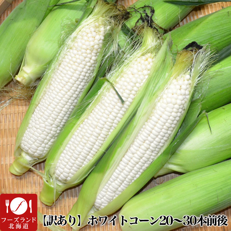 楽天市場 とうもろこし 訳あり 白 ホワイト 8kg 30本 北海道産 8月下旬前後頃から注文順に出荷 お届け日指定不可選択指定無効 フーズランド北海道