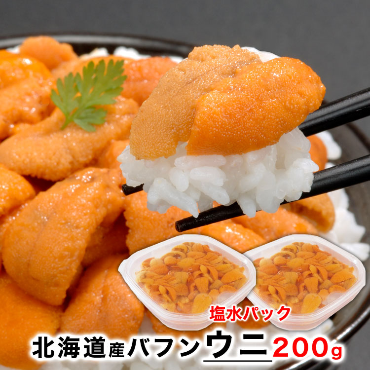 人気が高い 楽天市場 バフンウニ 0g 塩水パック 北海道産 プレミアム厳選 塩水 うに お届け日指定不可選択無効 ご注文後1 3週間前後で収獲次第出荷 受取不在注意 フーズランド北海道 超歓迎 Lexusoman Com