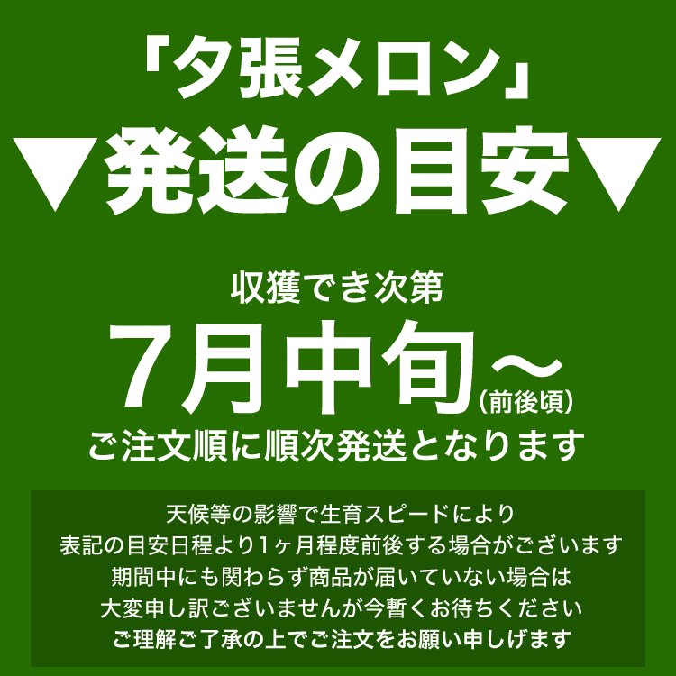 超特価激安 【】夕張メロン 訳あり 8kg 4～8玉[7月中旬前後頃～8月上旬頃から注文順に出荷][お届け日指定不可選択指定無効]：フーズランド北海道  【送料無料】 -sicemingenieros.com