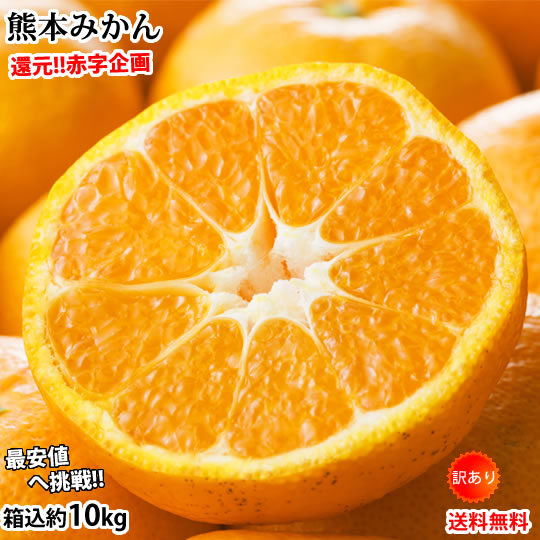 楽天市場】はるか みかん 送料無料 秀品 5kg S〜2L 平成生まれの
