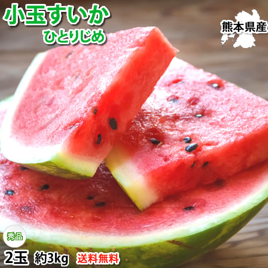 819.お楽しみセット生ライチ、独り占め小玉西瓜、チャメメロン、マンゴスチン 残りわずか】 819.お楽しみセット生ライチ、独り占め小玉西瓜