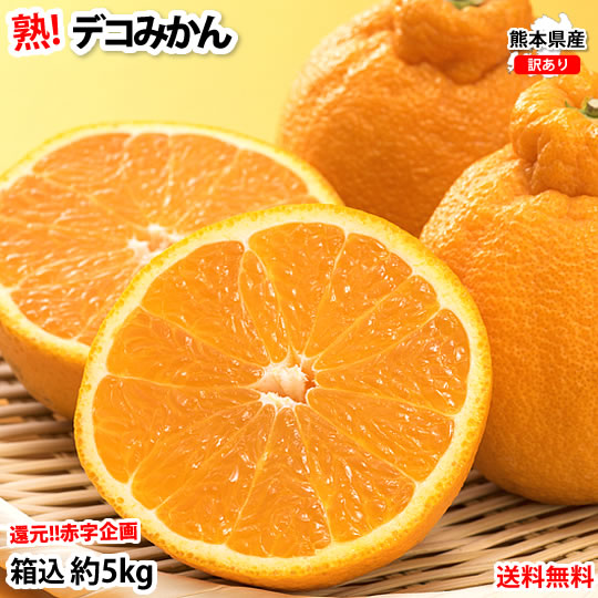 楽天市場】はるか みかん 10kg 箱込（内容量9kg＋補償分500g) 送料無料