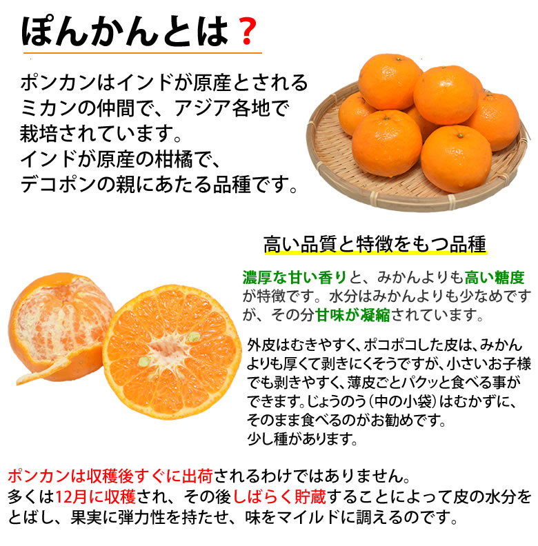 楽天市場 ポンカン 10kg 訳あり 送料無料 みかん S 2l 熊本県産 ぽんかん デコポン ミカン 蜜柑 Foody S