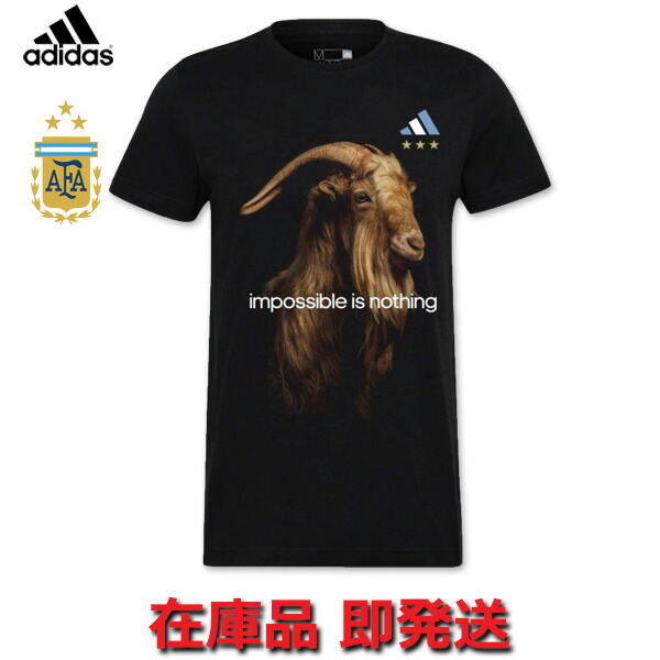 楽天市場】メッシ アルゼンチン代表 グラフィックTシャツ 22/23 2022