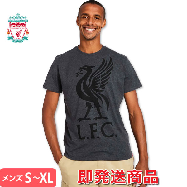 リバプール Tシャツ リヴァプール Liverbird Tee オフィシャル 公式グッズ 即発送対応商品