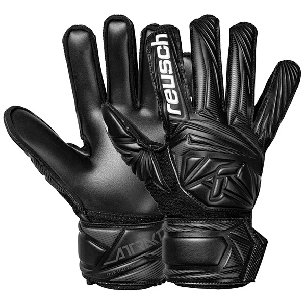 楽天市場】【返品交換送料無料】ロイシュ アトラクト フュージョン NC