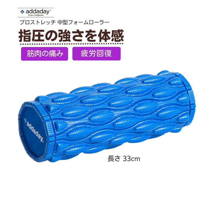 楽天市場】パラセッター フォームローラーシステム ピラティス ヨガ