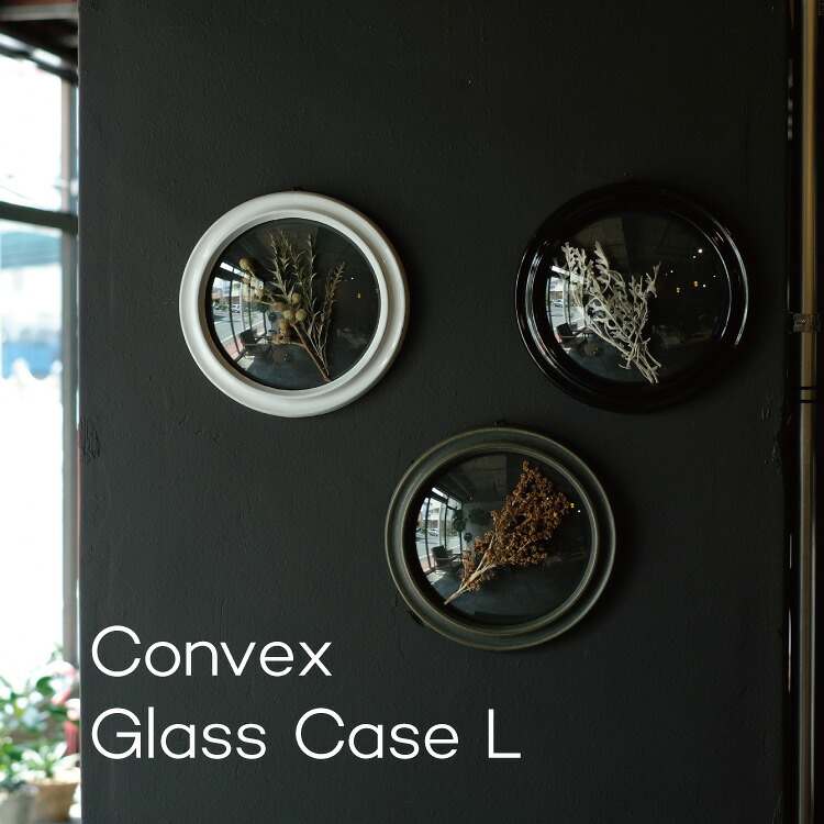 Convex Glass Case L コンベックスガラスケース L ガラスケース フレーム ラウンドフレーム 額縁 アンティーク 陶器 おしゃれ