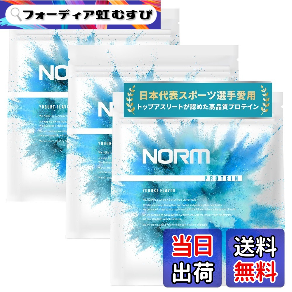 【送料無料】NORM ノーム ホエイ プロテイン 1kg 国内製造 100名以上のトップアスリート愛用 WPC WHEY PROTEIN ホエイプロテイン サイズ:3kg|フォーディア虹むすび