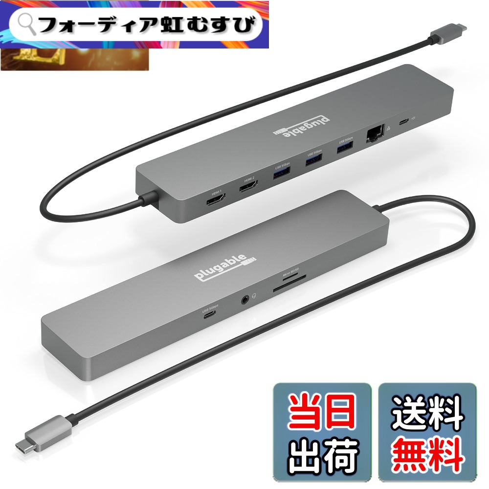 【送料無料】Plugable USB-C ハブ 11-in-1 マルチアダプター イーサネット付き Windows または ChromeOS ノート PC 用 - 4K@60Hz モニタ 2 台、USB-C x 1、USB 3.0 x 3、SD カードリーダー、イーサネットポート｜フォーディア虹むすび