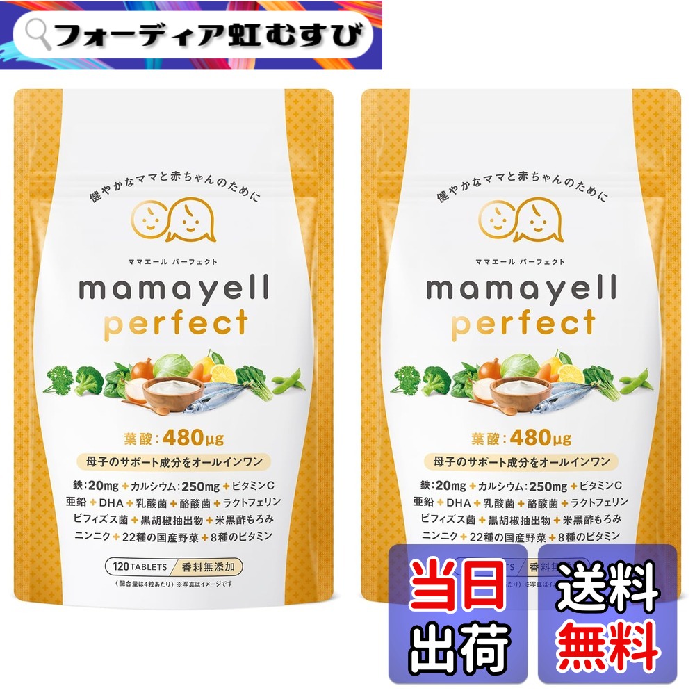 【貨物輸送無料】【母子の受け支える構成要素をオールインワン】葉酸 高練りあわせる 480μg 妊婦 妊孕 産後 加えること 葉酸サプリ DHA 鉄 Ca 乳酸菌 ビフィズス菌 ジンク 8類概念のヴィタミン 国産蔬菜22種 練りあわせる 1か月分 (2袋) おっ母さん叫び泣き パフェ一