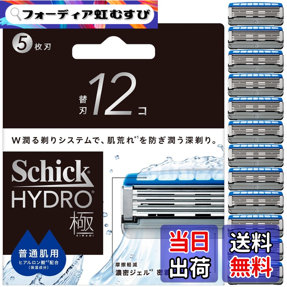 【貨物輸送無料】Schick(今めかしい) ハイドロ極 決まり切った肌 替刃（１２コ）成人男性用 髭剃り 髪剃り 色：しろがね色x青み