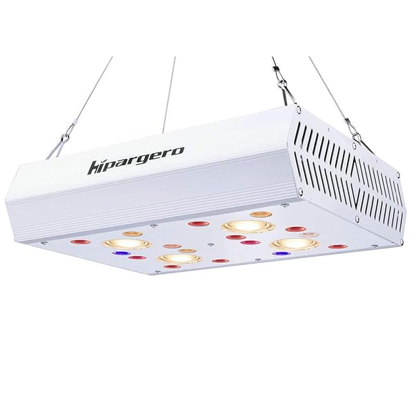 【貨物輸送無料】HG800 LED草木育みそだてる点火装置 盛りだくさんスペクトル(UV/IR相応う) HPSに好いかげんに 800W 水耕作りだす/観葉草木用/作りだす円蓋 2つの取り替えっこ 三類概念点火装置流行り物 50,000第四次元年長命 屋内園芸点火装置（800）