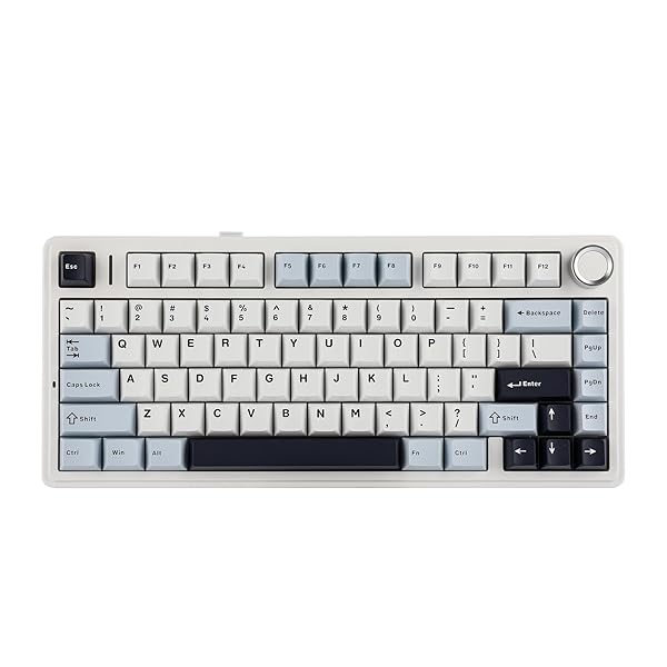 【貨物輸送無料】x Aula F75 ゲーミングキーボード 屁っ放り毛布 力学的鍵盤 5層パッド＆