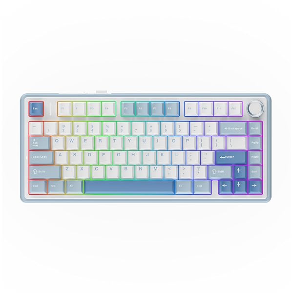 【貨物輸送無料】x Aula F75 ゲーミングキーボード 屁っ放り毛布 力学的鍵盤 5層パッド＆