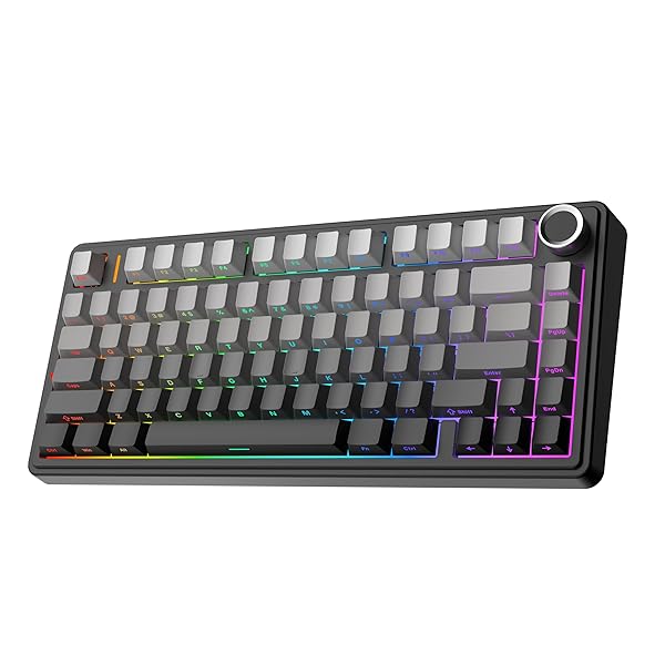 【貨物輸送無料】x Aula F75 ゲーミングキーボード 屁っ放り毛布 力学的鍵盤 5層パッド＆