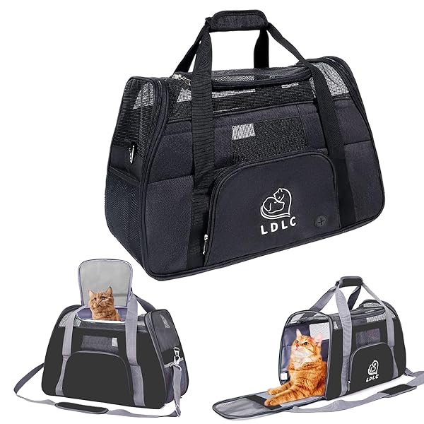 【送料無料】猫 キャリーバッグ ペットキャリー ショルダー 手提げ 猫・小型犬用耐荷重 9kg 3｜フォレストオンライン