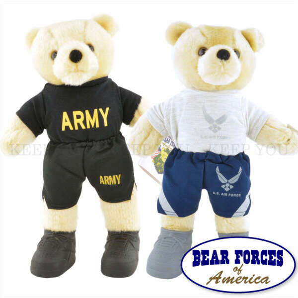 air force teddy bear