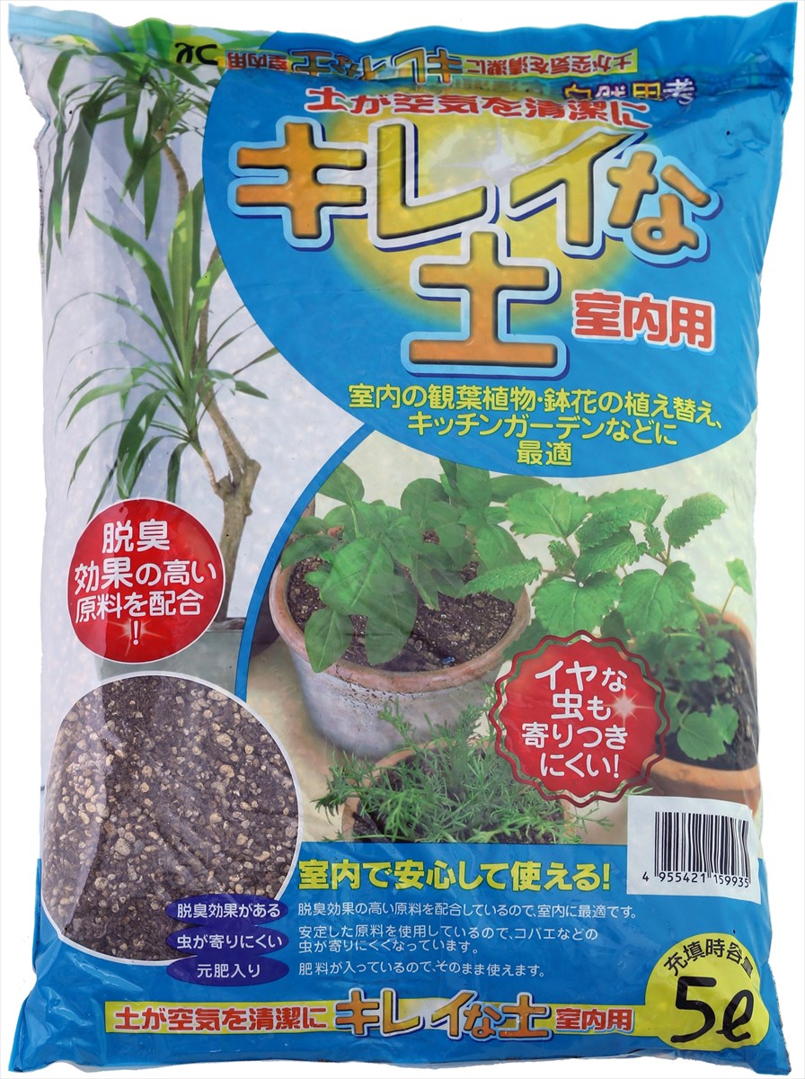 その他観葉植物 moomooo 楽天市場】観葉植物/ドリミオプシス：マクラータ 3号 : 園芸