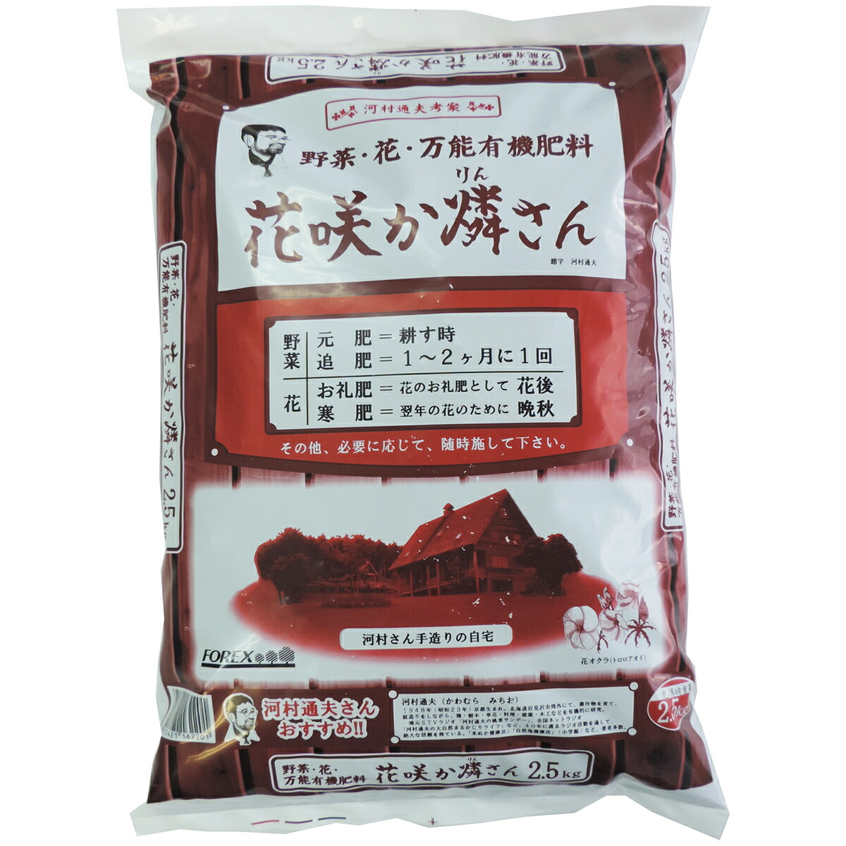 o*n様 月晃殿からの実生 大株 鉢植え メルカリ便送料込み o*n様 月晃殿からの実生 大株 鉢植え メルカリ便送料