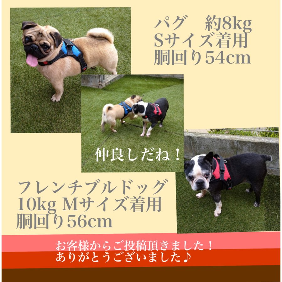 犬 ハーネス 大型犬 柴犬 中型犬 ステップハーネス ウェアハーネス 小型犬