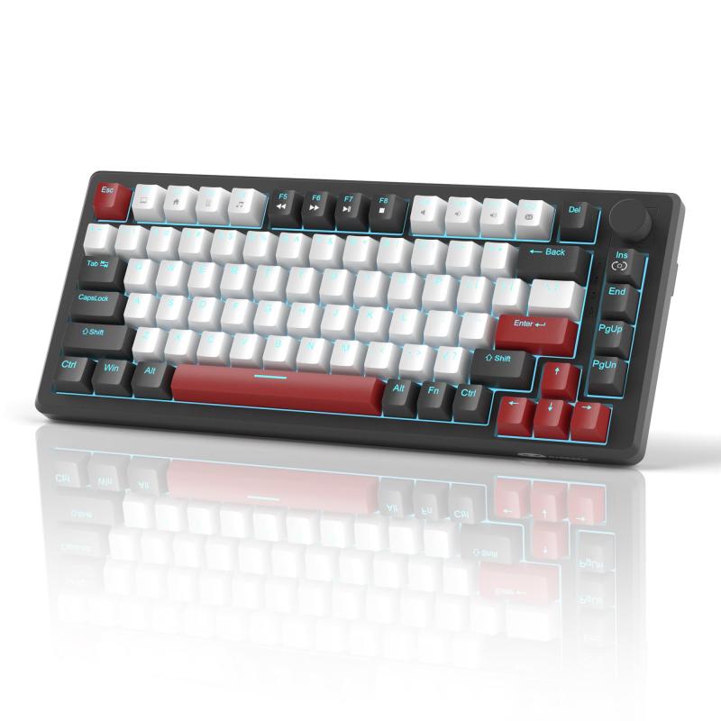 楽天市場】HEMU HM66-Aegis HM66 Aegis ゲーミングキーボード US