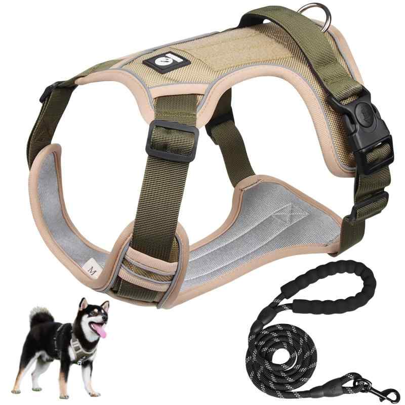 いぬ お願いマスコット 柴犬 IPM-68-Z | ぬいぐるみ | 【公式】 人形