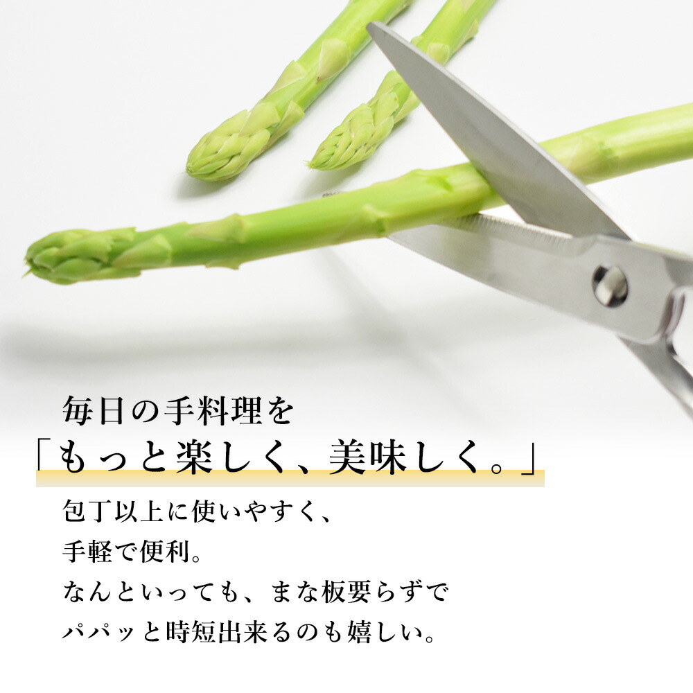 鳥部製作所キッチンスパッターKS-203
